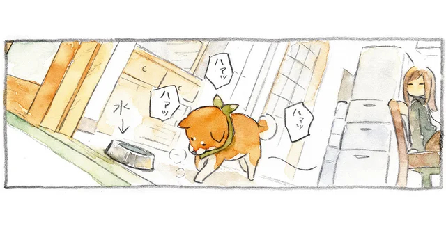 出発前から息切れが止まらない！ 「さんぽ」という単語に興奮する柴犬