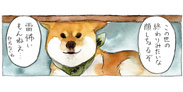 雷が怖すぎる。あまりの恐怖に限界を迎えた柴犬の取った行動は