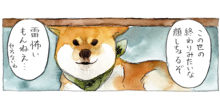 雷が怖すぎる。あまりの恐怖に限界を迎えた柴犬の取った行動は
