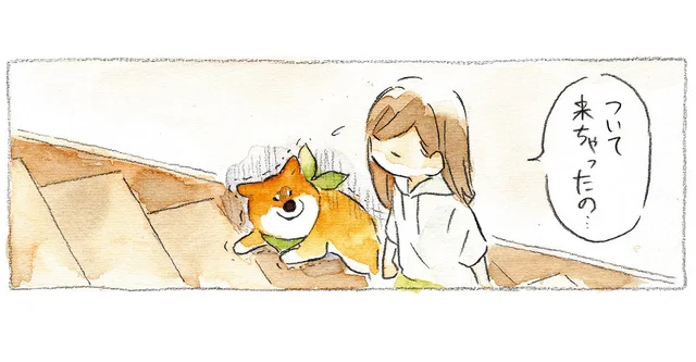 怖くてついてきちゃったの？ 雷の恐怖に耐え、振動を続ける柴犬