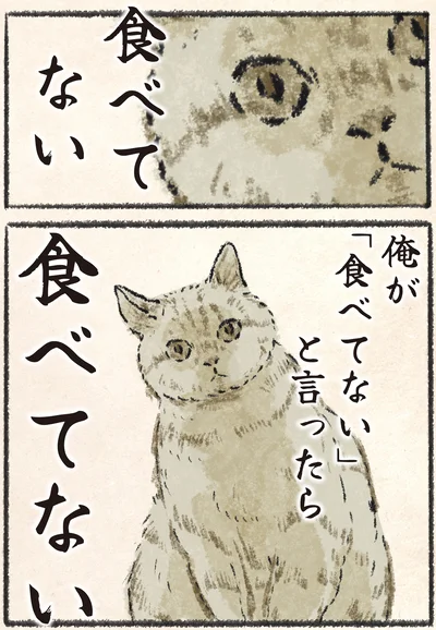 俺が「食べてない」と言ったら食べてない