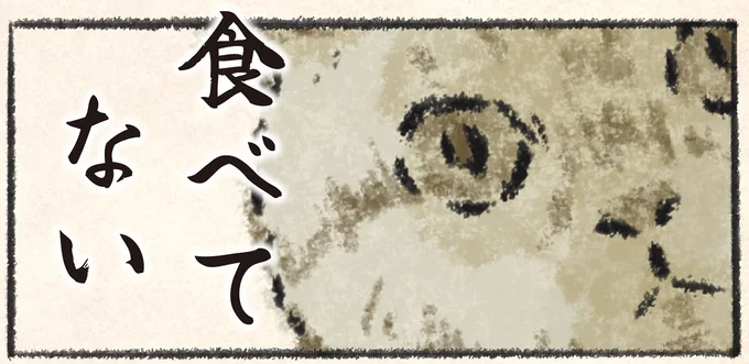 食べてない
