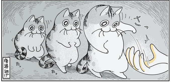 クローゼットの中の攻防