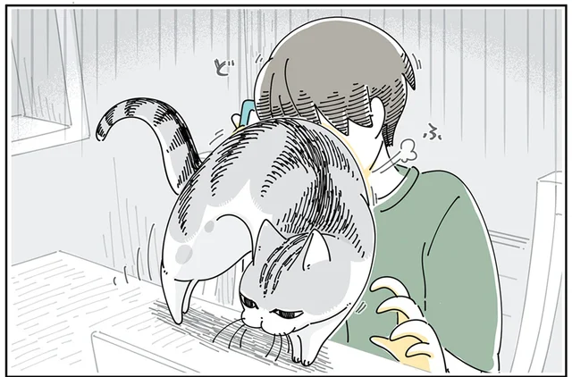 電話を始めた途端の体当たり！ 「疎外感があるのかな」通話を辞めさせたい猫