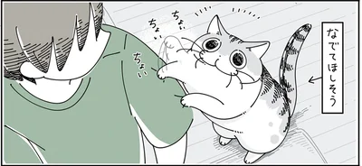 なでてほしそう
