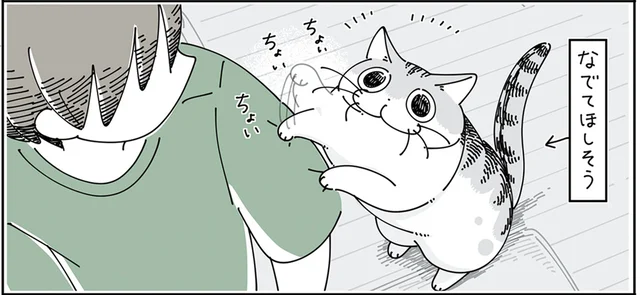 じっとしてくれてたらいいのに！ 撫でられたいのに寄り道してくる猫