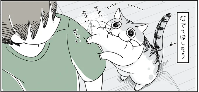 なでてほしそう