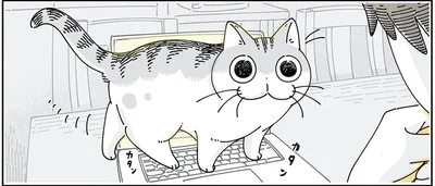 キーボードの上を