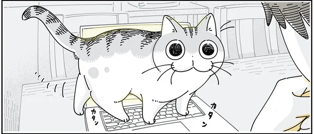 また何か押してる？ キーボードの上を歩く猫による特殊能力