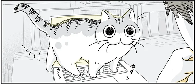 キーボードの上を