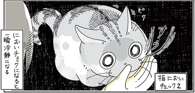 においチェック