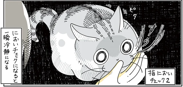 急に冷静になるのは何!? 飼い主の指の匂いをかぐ猫のテンションが謎