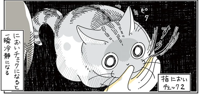 においチェック