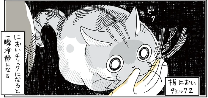 急に冷静になるのは何!? 飼い主の指の匂いをかぐ猫のテンションが謎