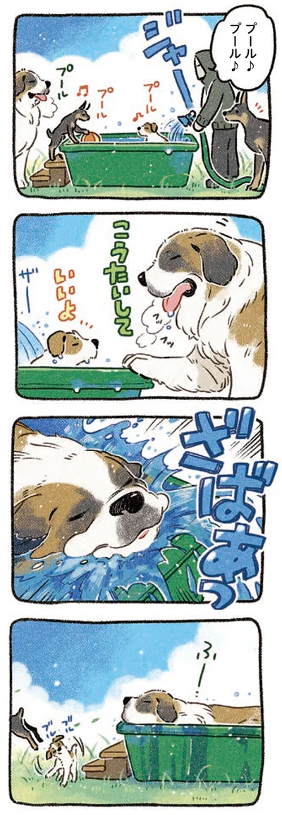 プール♪