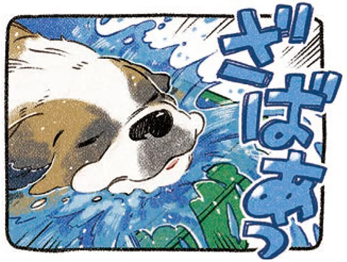 プールにダイブ!