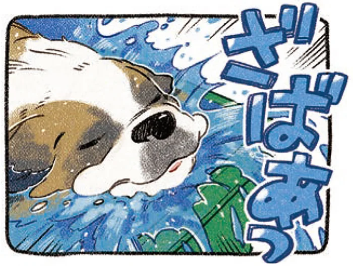 「よっこいせ」多毛の犬がプールに入ったら、脅威の結果に唖然！