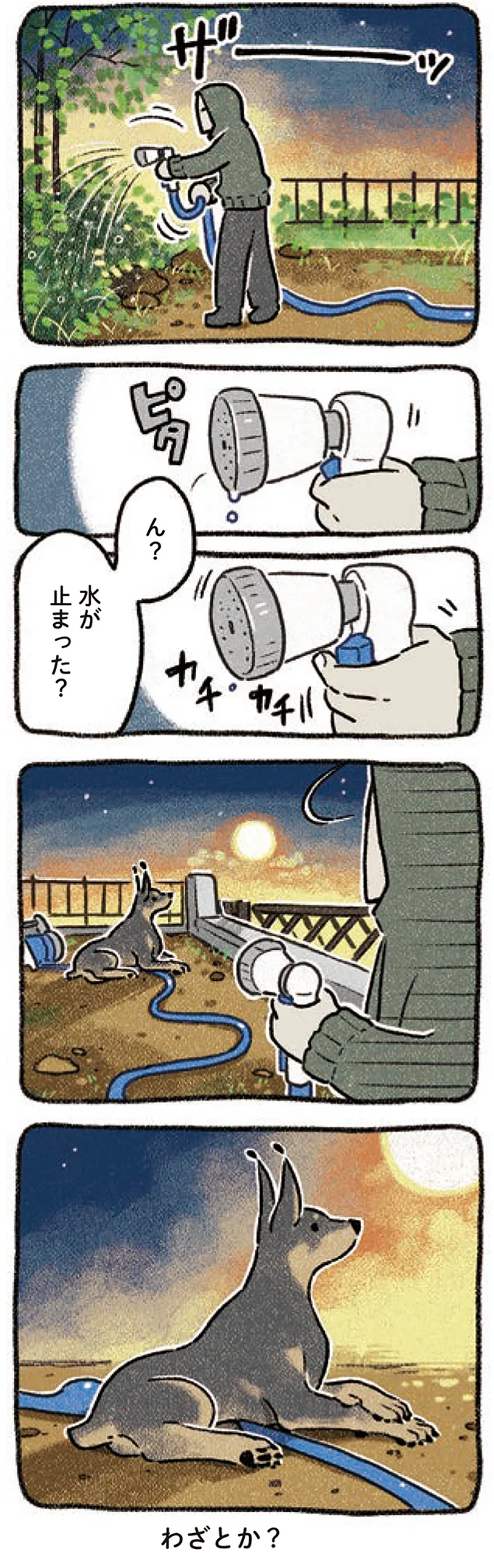 『ドベとノラ 3 犬と仲間が集う場所』より