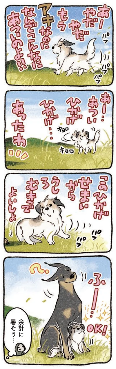 『ドベとノラ 3 犬と仲間が集う場所』より