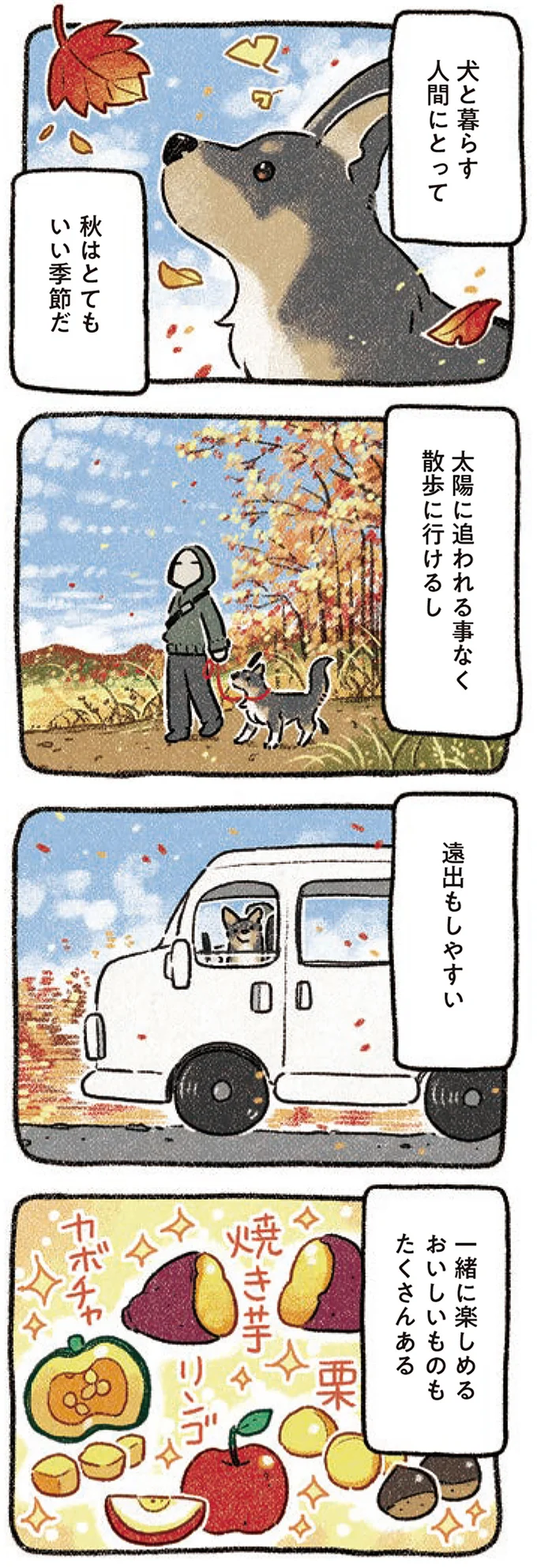 『ドベとノラ 3 犬と仲間が集う場所』より