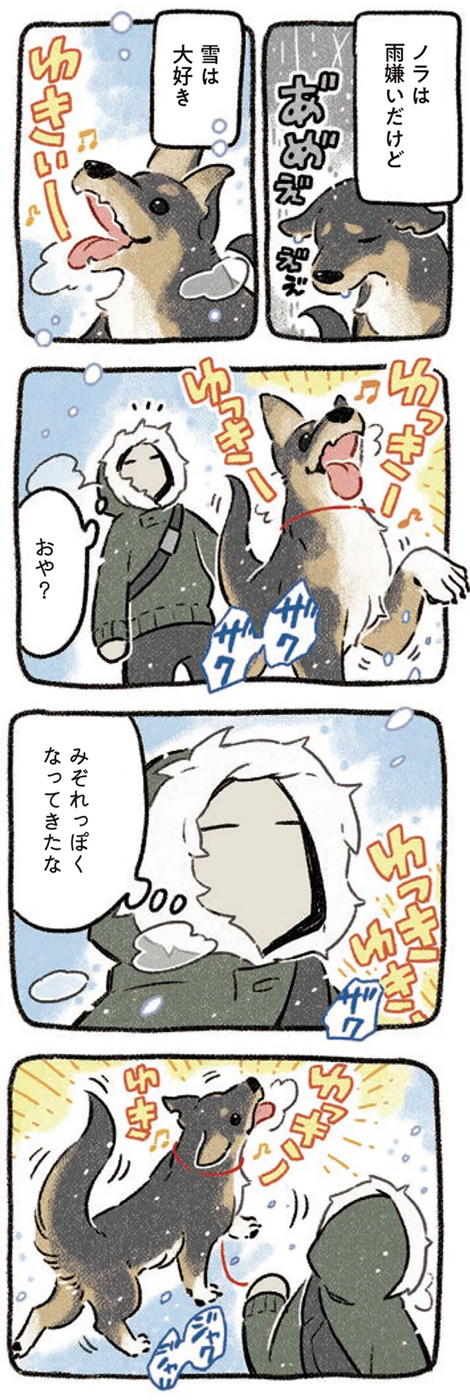 『ドベとノラ 3 犬と仲間が集う場所』より