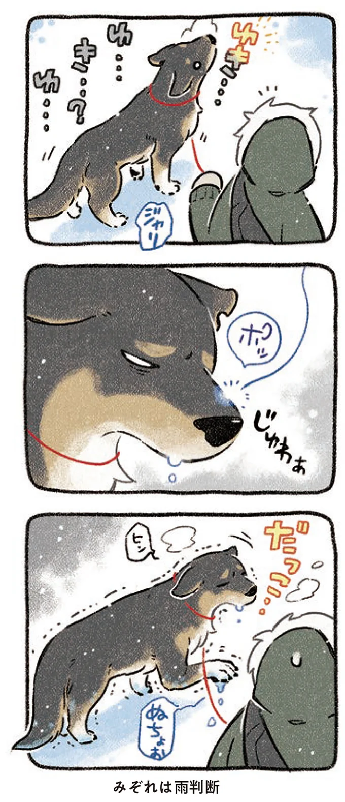 『ドベとノラ 3 犬と仲間が集う場所』より