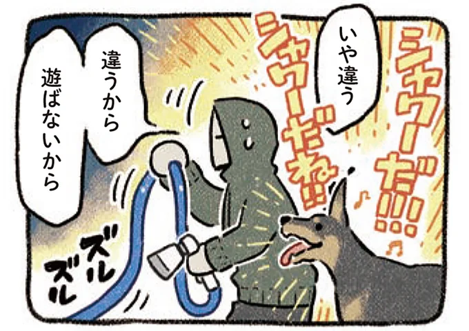 シャワーだね!!