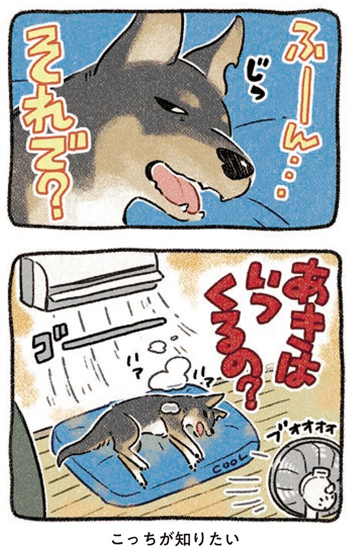 こっちが知りたい…