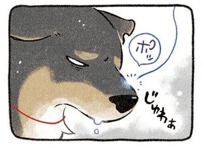 みぞれっぽい天候は？