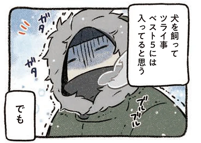 寒さが苦手な飼い主。けれど、犬を歩く冬の道はなんだか嬉しくて