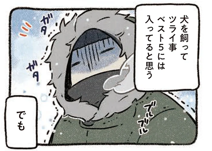 寒さが苦手な飼い主。けれど、犬を歩く冬の道はなんだか嬉しくて