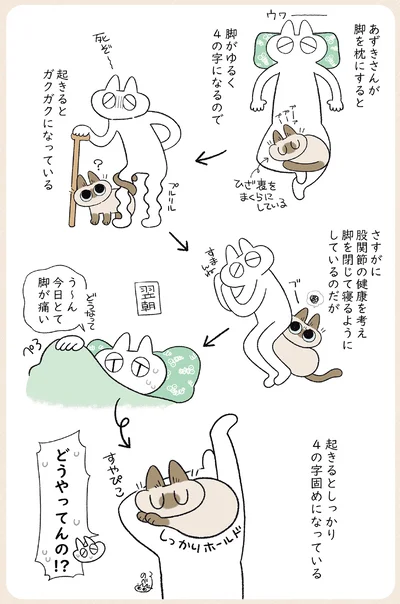 起きるとしっかり4の字固めになっている