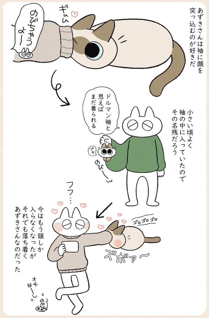 袖に頭を突っ込むのが好きだ