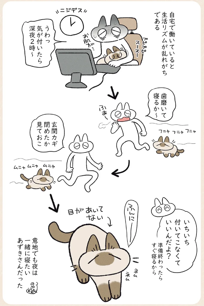 『やっぱり!!!!!　シャム猫あずきさんは世界の中心』より