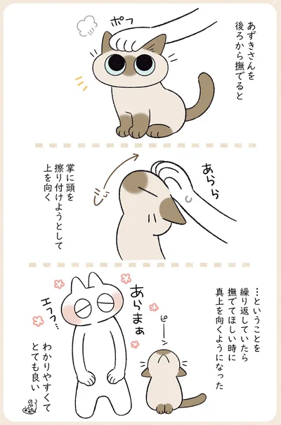 『やっぱり!!!!!　シャム猫あずきさんは世界の中心』より