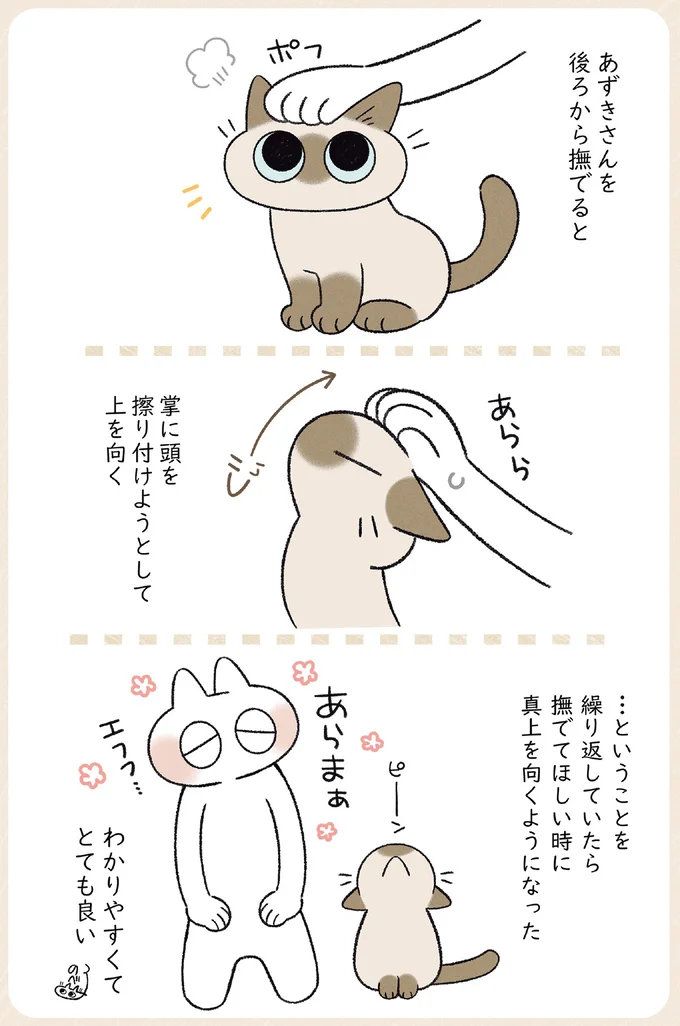『やっぱり!!!!!　シャム猫あずきさんは世界の中心』より
