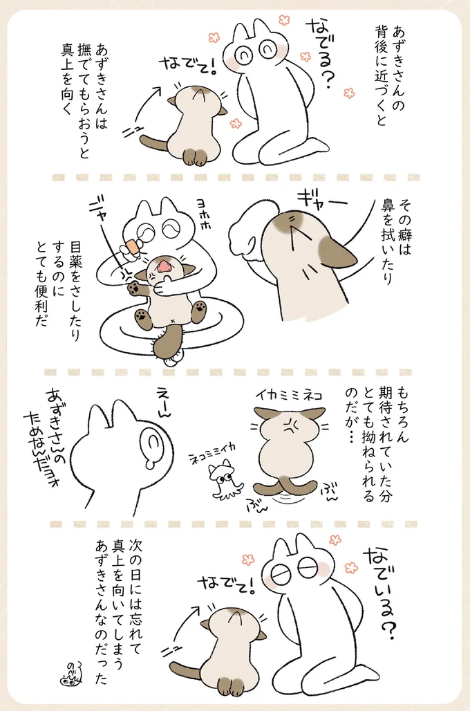 『やっぱり!!!!!　シャム猫あずきさんは世界の中心』より