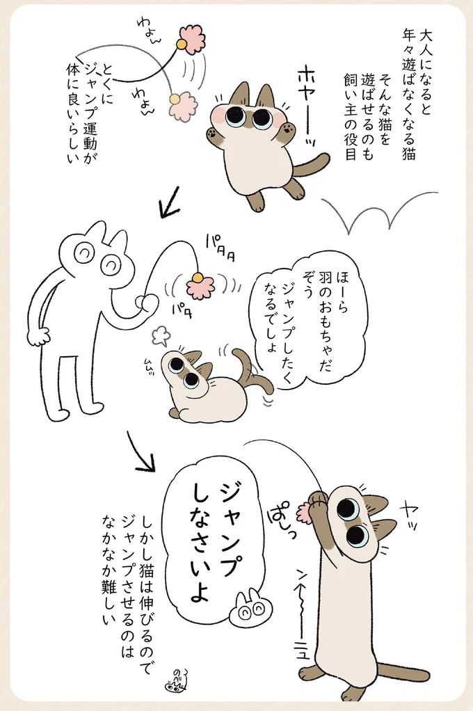 『やっぱり!!!!!　シャム猫あずきさんは世界の中心』より
