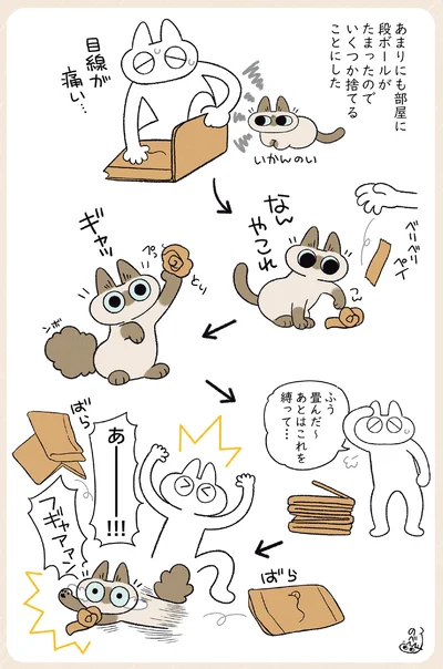『やっぱり!!!!!　シャム猫あずきさんは世界の中心』より