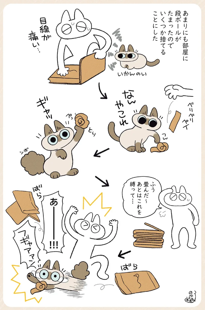 『やっぱり!!!!!　シャム猫あずきさんは世界の中心』より