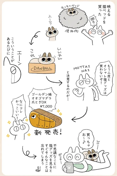 『やっぱり!!!!!　シャム猫あずきさんは世界の中心』より