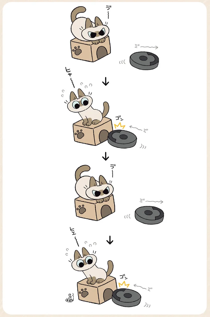 『やっぱり!!!!!　シャム猫あずきさんは世界の中心』より