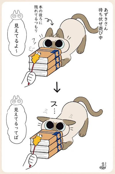 『やっぱり!!!!!　シャム猫あずきさんは世界の中心』より