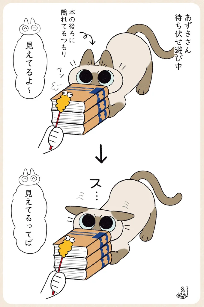 『やっぱり!!!!!　シャム猫あずきさんは世界の中心』より