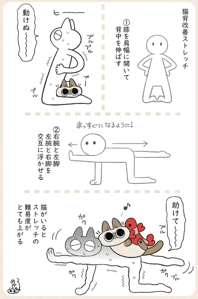 『やっぱり!!!!!　シャム猫あずきさんは世界の中心』より