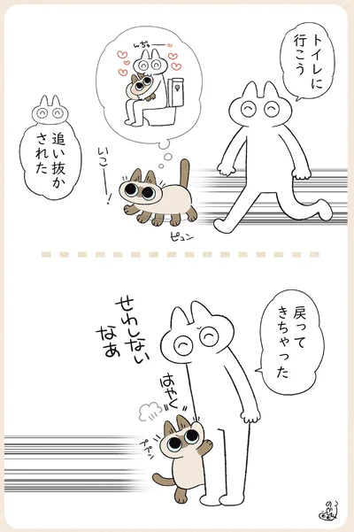 『やっぱり!!!!!　シャム猫あずきさんは世界の中心』より