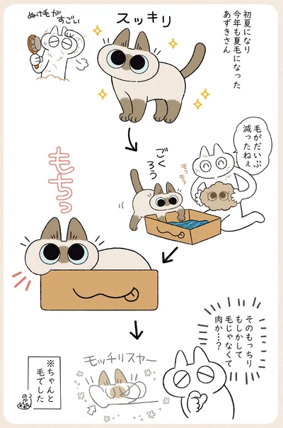 『やっぱり!!!!!　シャム猫あずきさんは世界の中心』より
