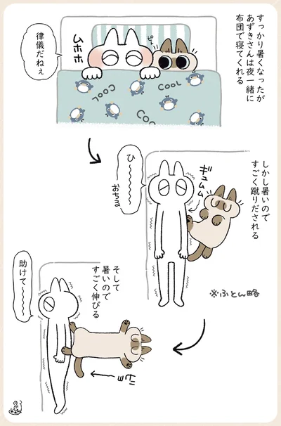『やっぱり!!!!!　シャム猫あずきさんは世界の中心』より