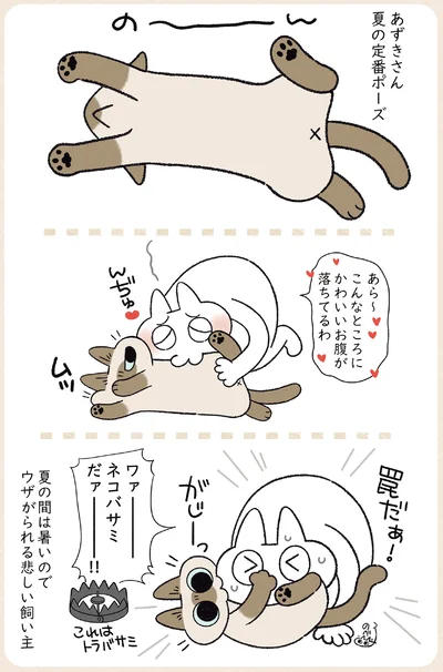 『やっぱり!!!!!　シャム猫あずきさんは世界の中心』より