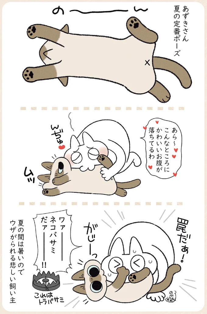 『やっぱり!!!!!　シャム猫あずきさんは世界の中心』より